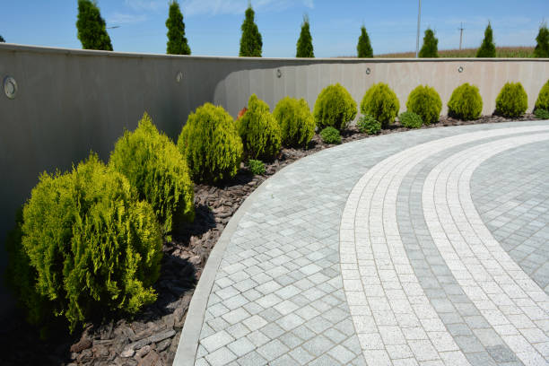 Best Driveway Paving Contractor  in Audubon, IA